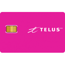 Telux Sim Card  （Short-Term)